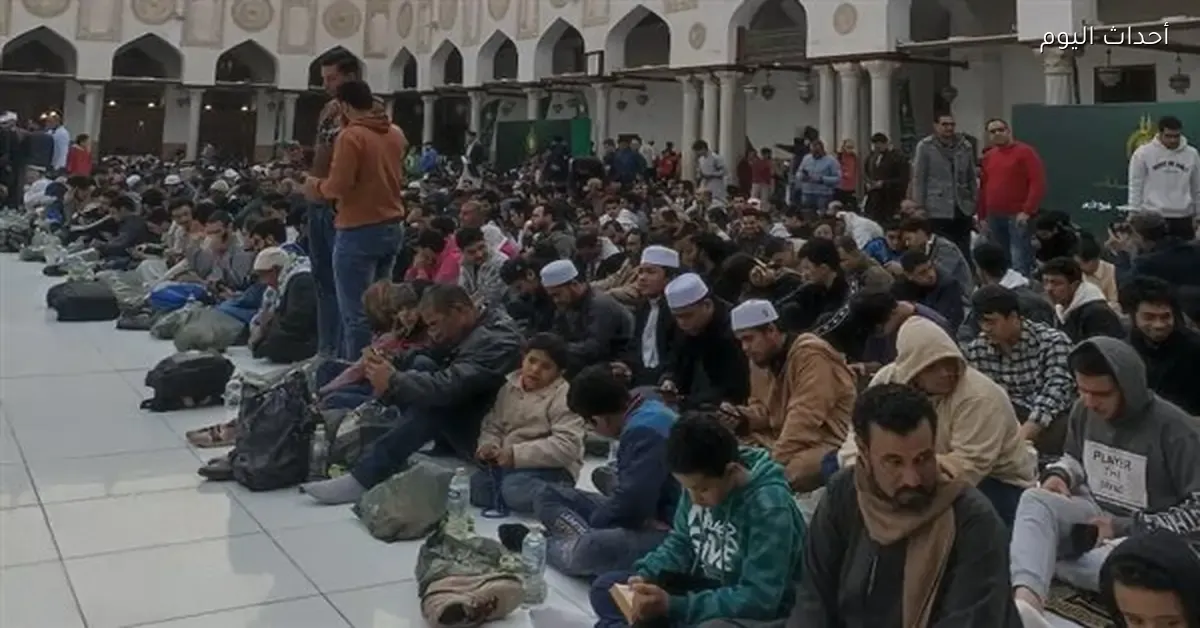 بيت الزكاة والصدقات المصري — EG news