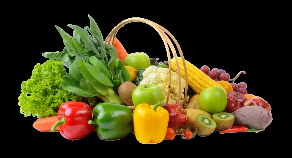 fazoura fresh com eg — EG news