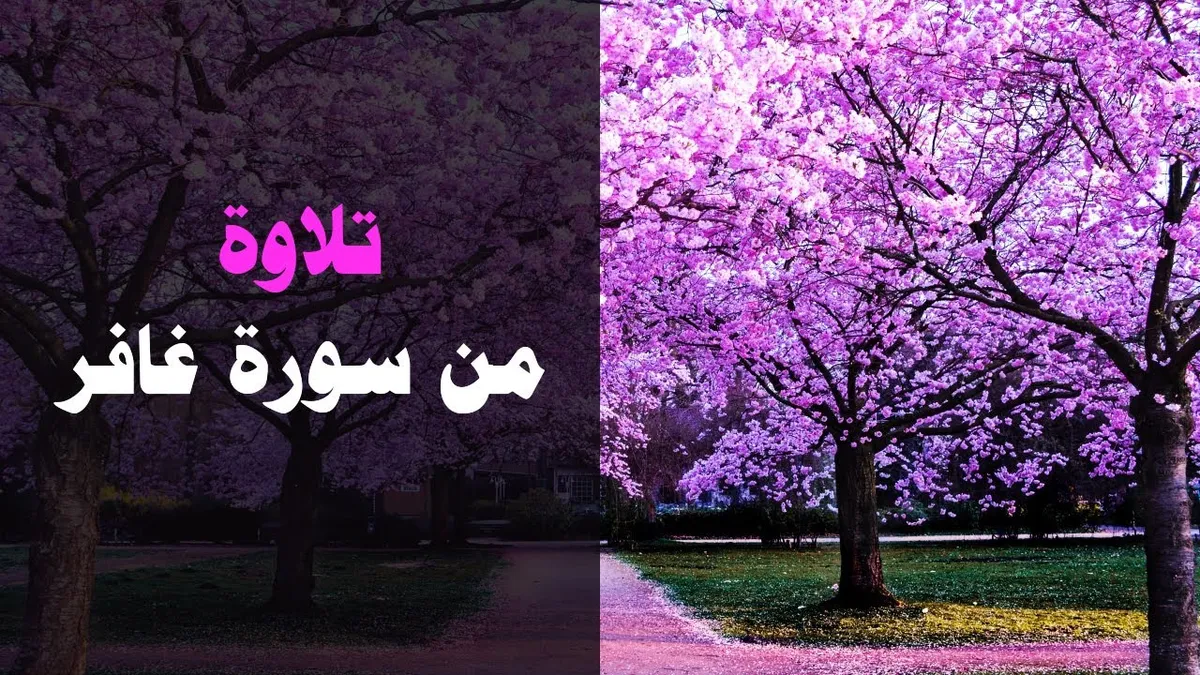 فجر اليوم — EG news