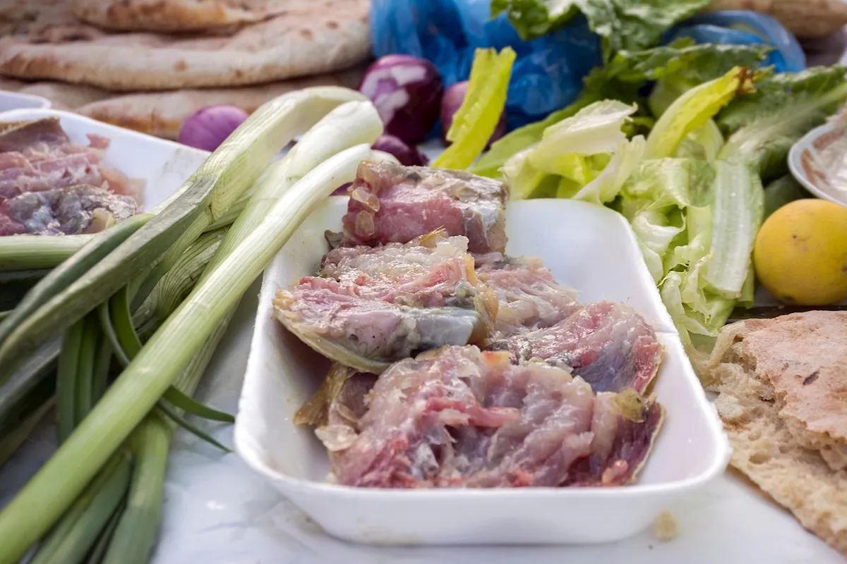 فسيخ — EG news