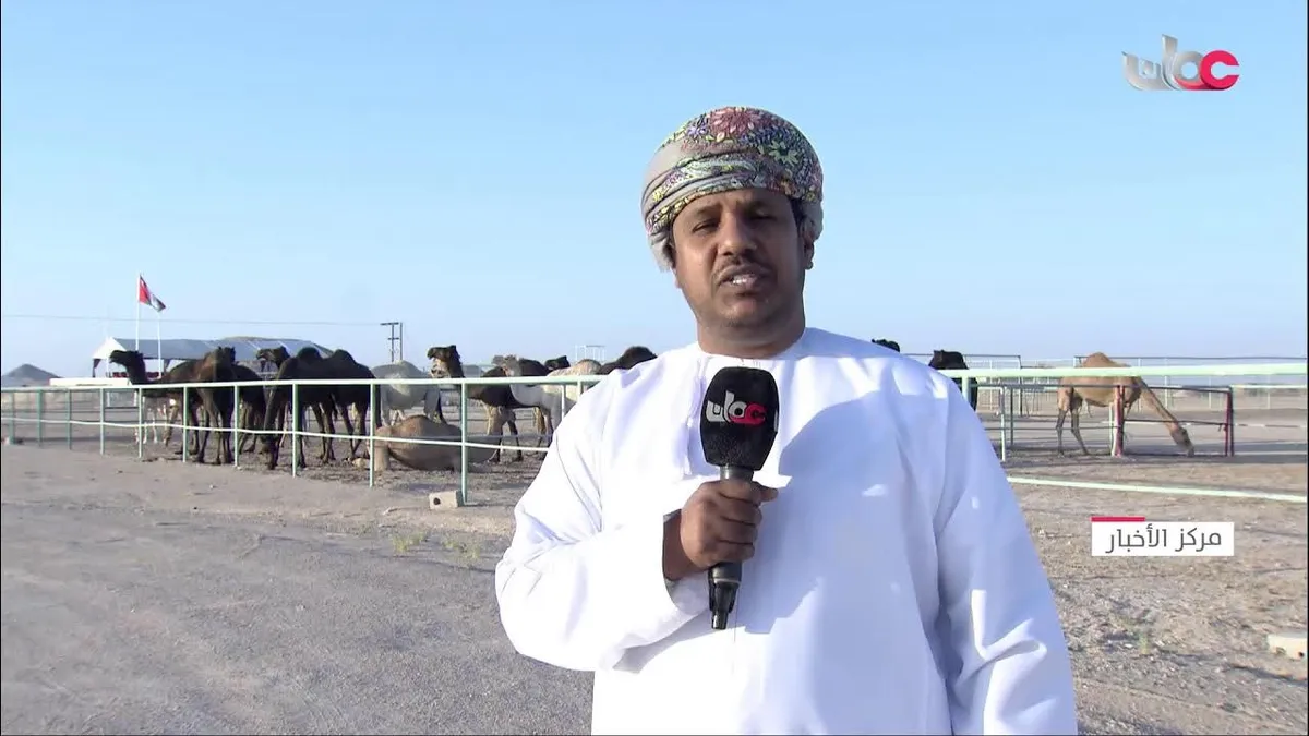 اخبار — EG news