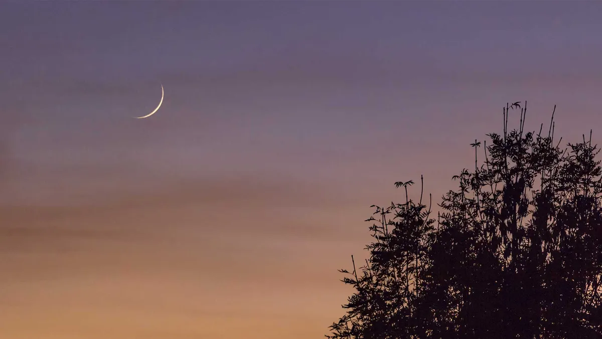 علامات ليلة القدر — EG news