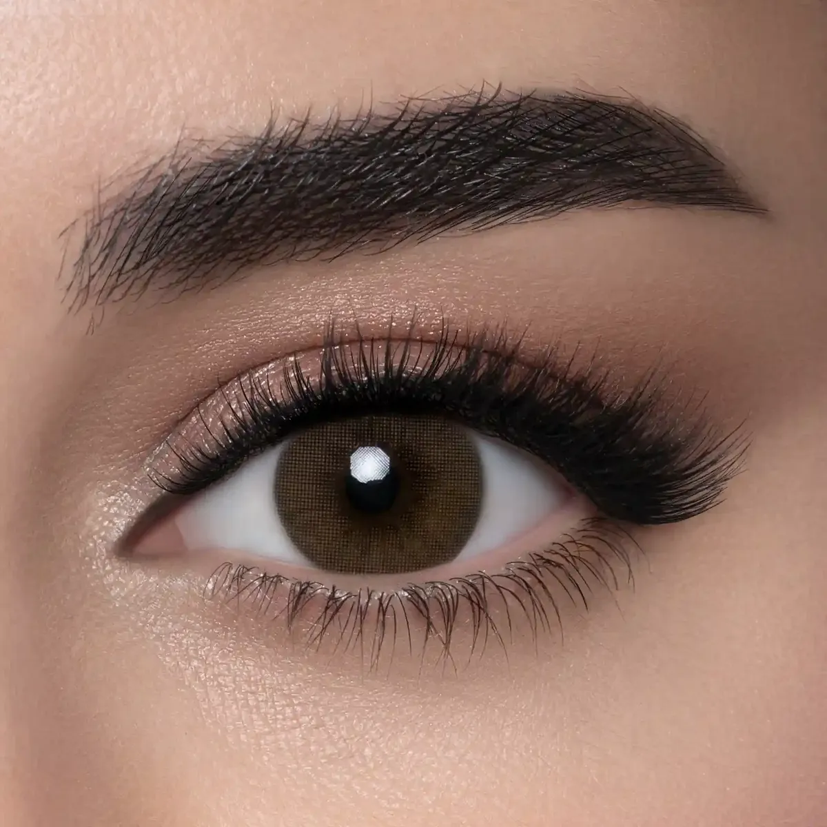 لنس ضد ميتز — EG news