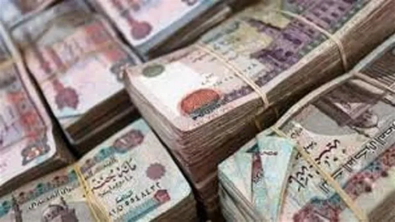 منحة مالية — EG news