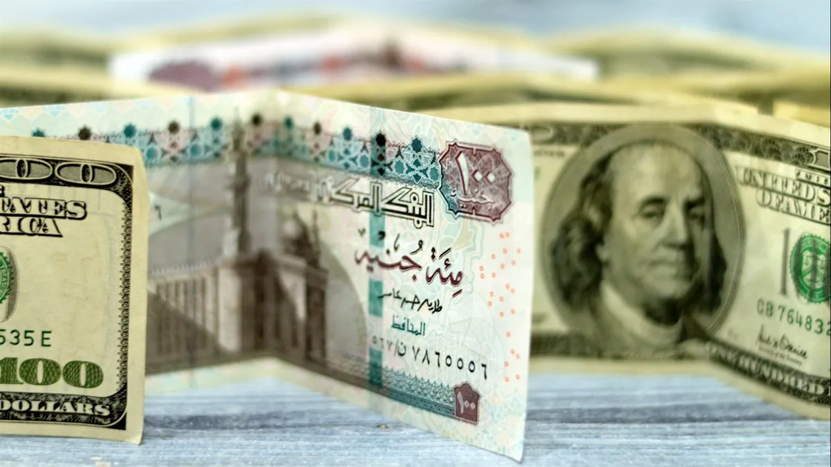 سعر الدولار اليوم مقابل الجنيه المصرى — EG news