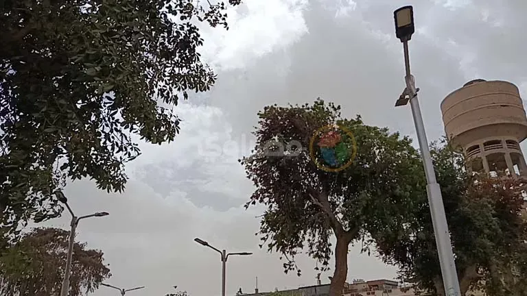 طقس المنيا — EG news