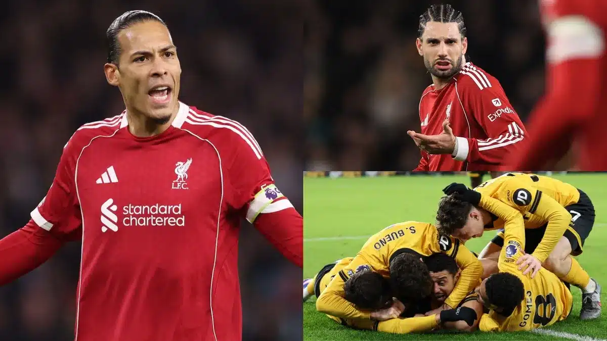 wolves vs liverpool — EG news