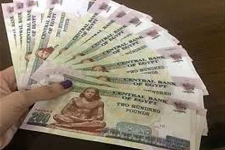 زيادة المعاشات — EG news