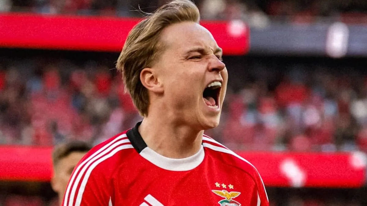 بنفيكا ضد ماديرا — EG news