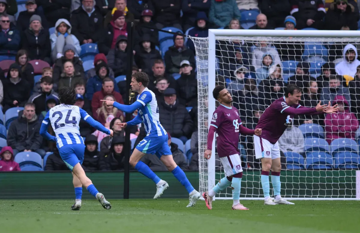 burnley vs brighton — EG news
