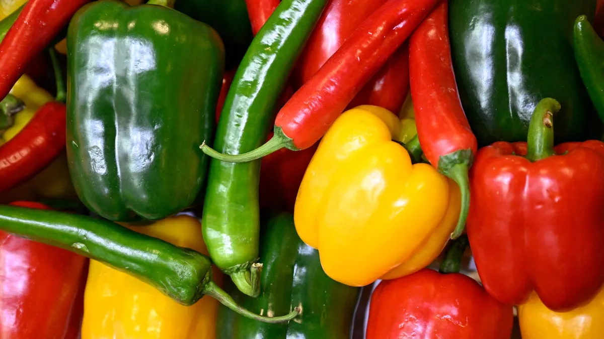 خضار — EG news