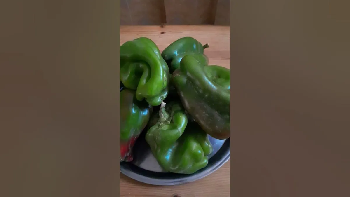 العشاء اليوم — EG news