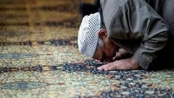 الفجر — EG news