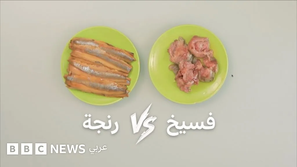 الفسيخ — EG news