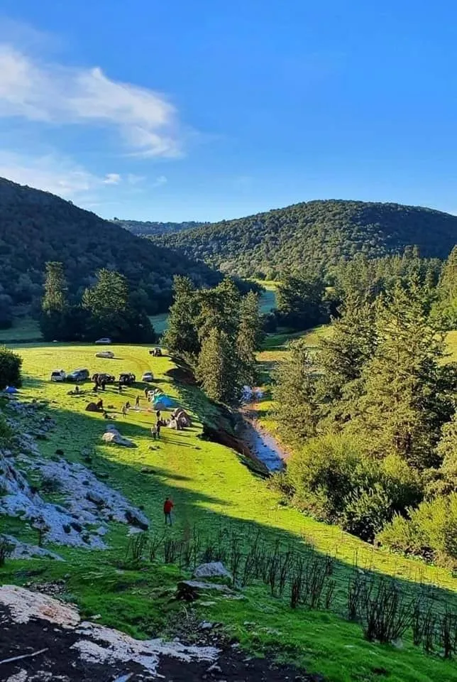 ليبيا — EG news