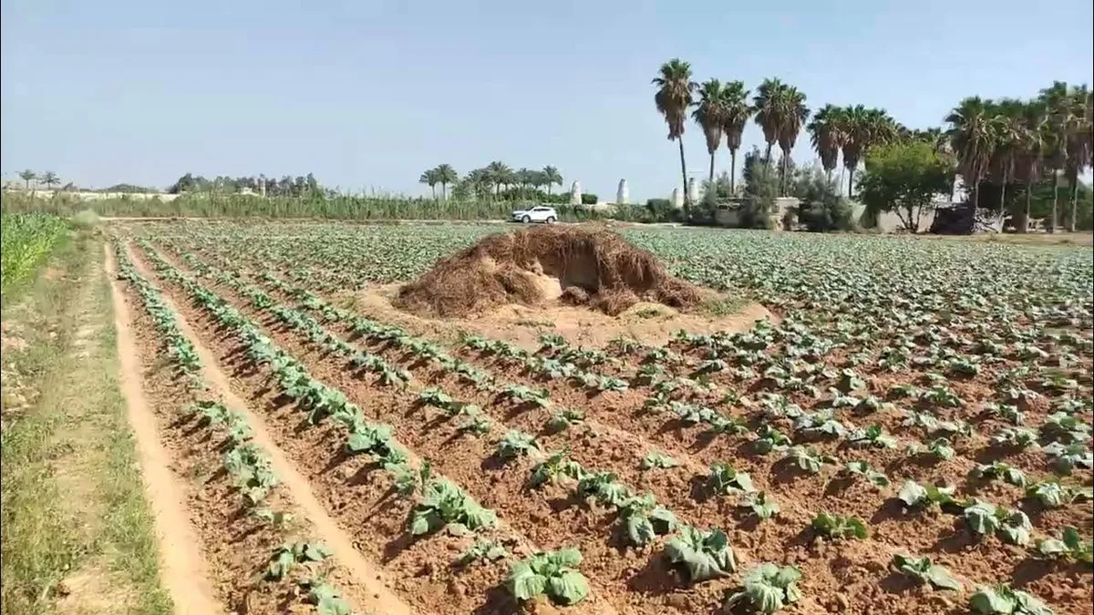 محافظة البحيرة — EG news