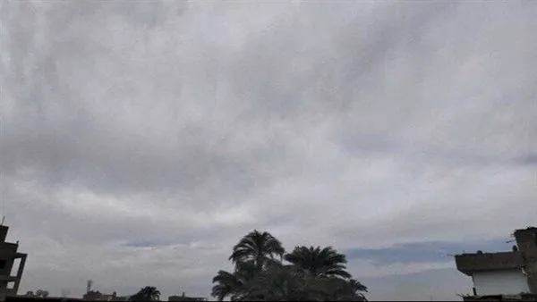 عاصفة رعدية — EG news