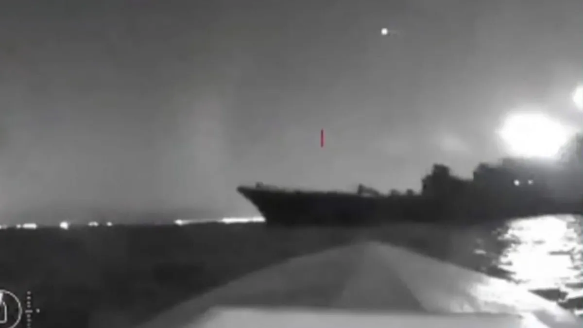 سفينة — EG news