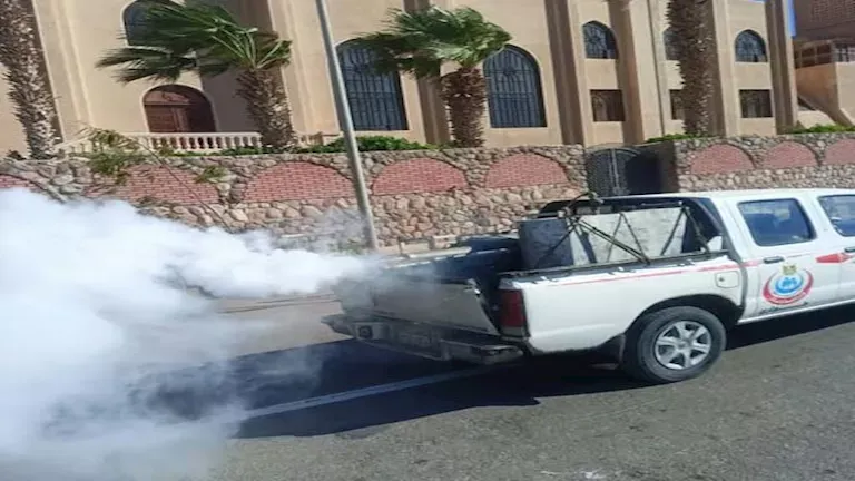 شاطئ — EG news