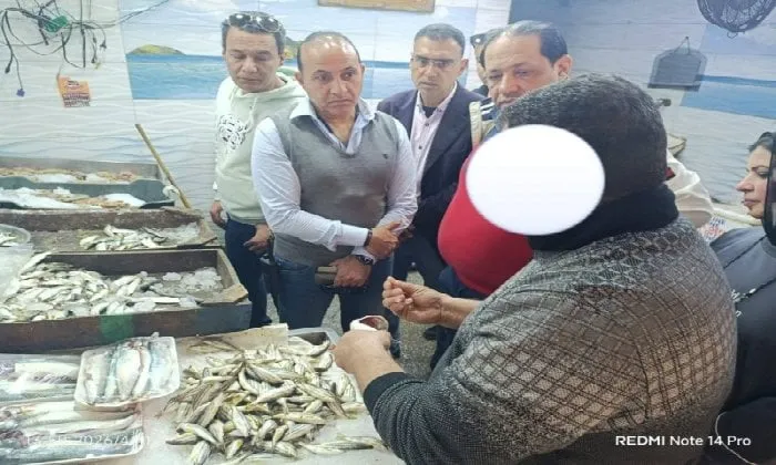 سلعة تموينية — EG news