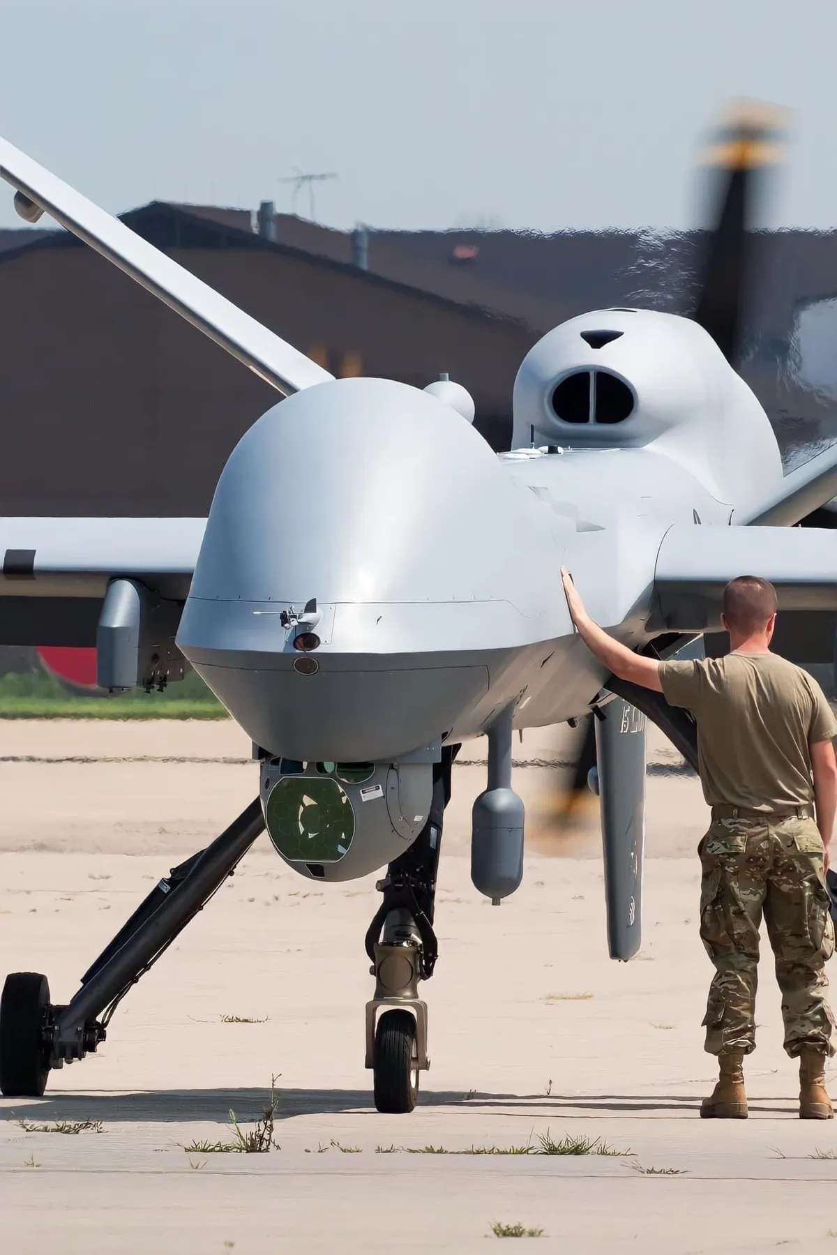 طيار — EG news