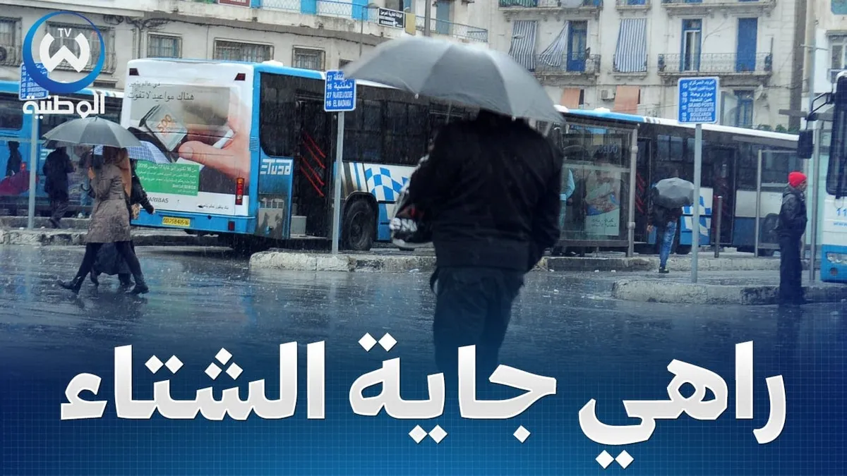 عودة الأمطار — EG news