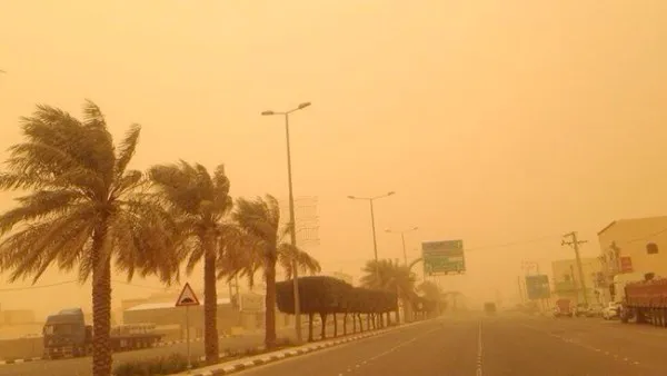 الطقس غدًا — EG news