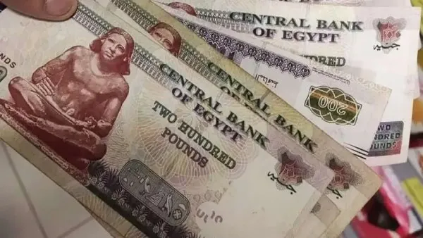 صرف منحة التموين — EG news