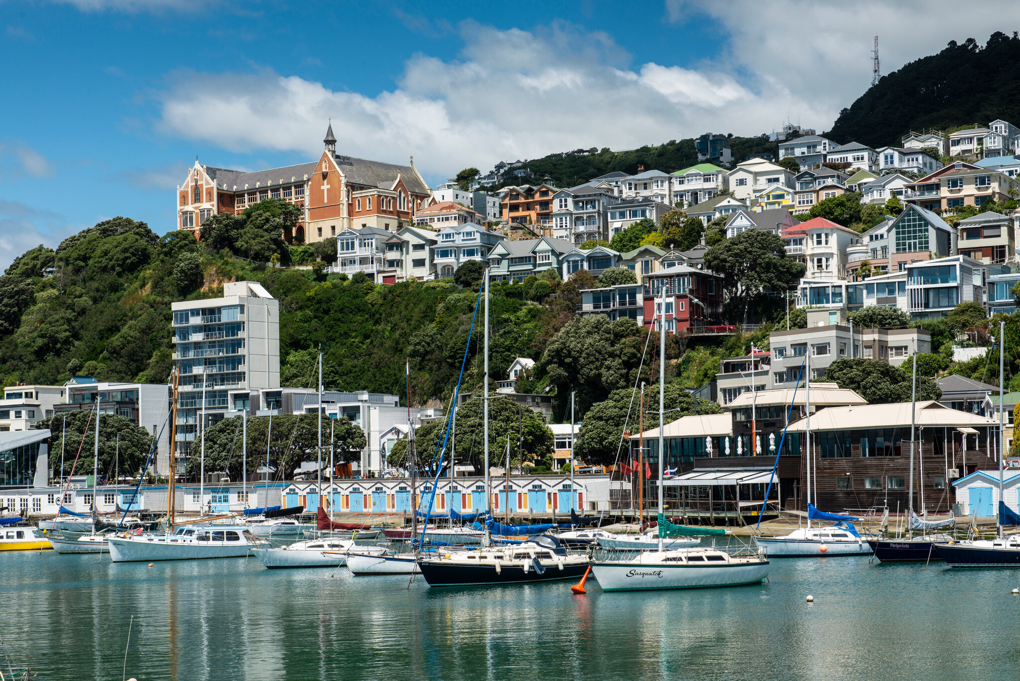 Wellington city, New Zealand